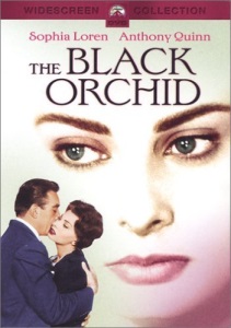 The Black Orchid
