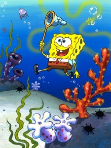 SpongeBob SquarePants  Season:13