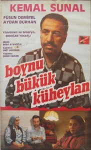Boynu Bükük Küheylan