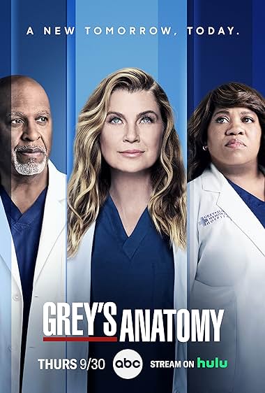 Grey's Anatomy  Season:17