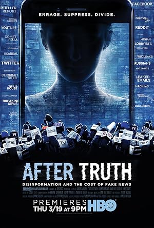 After Truth: Disinformation and the Cost of Fake News