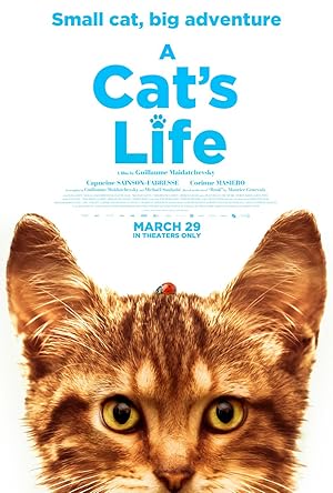 Mon chat et moi, la grande aventure de Rroû