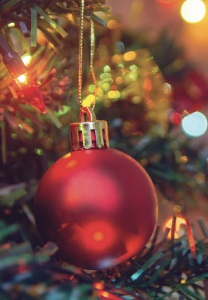 Dog Patrol: Operation Santa Paws