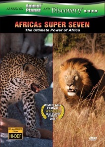 Africa's Super Seven