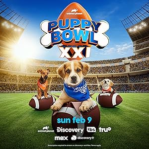 Puppy Bowl XXI