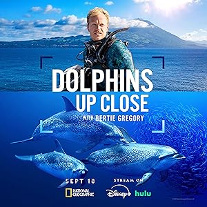 Dolphins Up Close with Bertie Gregory