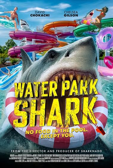 Water Park Shark
