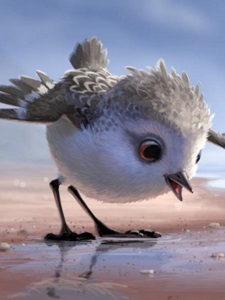 Piper