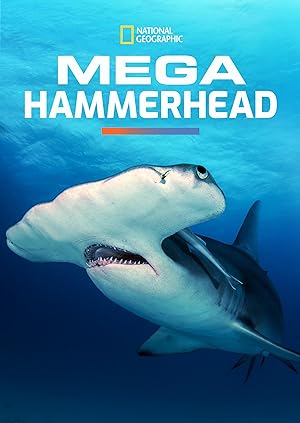 Mega Hammerhead
