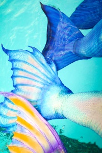 Mermaids