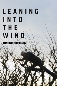 Leaning Into The Wind