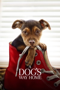 A Dog's Way Home